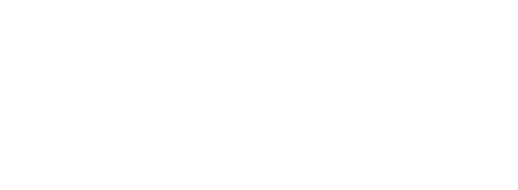 CELLZONE - Normes Graphiques - 2023